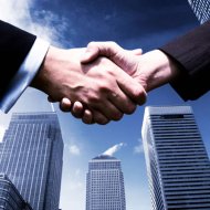 Виды правоспособности юридического лица