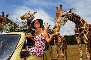 Туристка и жираф